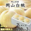【ふるさと納税】【先行予約】岡山白桃 ロイヤル 3玉×250g(2Lサイズ) 岡山県産_ 桃 白桃 もも モモ 岡山白桃 甘い 果物 くだもの フルーツ デザート 岡山県 津山市 光センサー 産直 産地直送 ギフト プレゼント 送料無料 【配送不可地域:離島・北海道・沖縄県】【1305721】