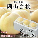 【ふるさと納税】【先行予約】岡山白桃 エース 3玉×250g(2Lサイズ) 岡山県産_ 桃 白桃 もも 甘い 果物 フルーツ 岡山県 津山市 【配送不可地域:離島・北海道・沖縄県】【1305725】