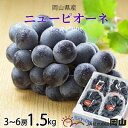 【ふるさと納税】【2025年6月発送】岡山県産 ニューピオーネ 1.5kg(3房~6房)【配送不可地域:離島・北海道・沖縄県】【1308146】