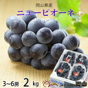 【ふるさと納税】【2026年6月下旬より順次発送】岡山県産 ニューピオーネ 2kg(3房~6房)_ ぶどう 葡萄 ブドウ 果物 フルーツ 岡山県 津山市 【配送不可地域:離島・北海道・沖縄県】【1308149】