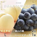 【ふるさと納税】【先行予約】岡山県産 岡山白桃ロイヤルLサイズ200g×2玉・ニューピオーネ400g×1房 詰合せ【配送不可地域:離島・北海道・沖縄県】【1309122】