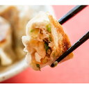 【ふるさと納税】津山黒豚手作り冷凍生餃子(100個セット)_ 冷凍餃子 餃子 手作り 黒豚餃子 黒豚 豚 ぎょうざ ギョウザ ギョーザ セット..