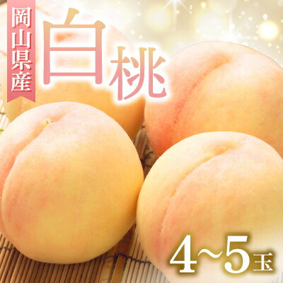 【ふるさと納税】◆先行予約◆ 岡山県産 岡山白桃4~5玉 2025年発送【配送不可地域:離島・北海道・沖縄県】【1349771】 【ふるさと納税】◆先行予約◆ 岡山県産 岡山白桃4~5玉 2025年発送【配送不可地域:離島・北海道・沖縄県】【1349771】
