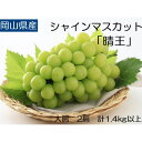 【ふるさと納税】秋のシャインマスカット「晴王」2房 2025年発送 ◆先行予約◆【配送不可地域:離島・北海道・沖縄県】【1349782】