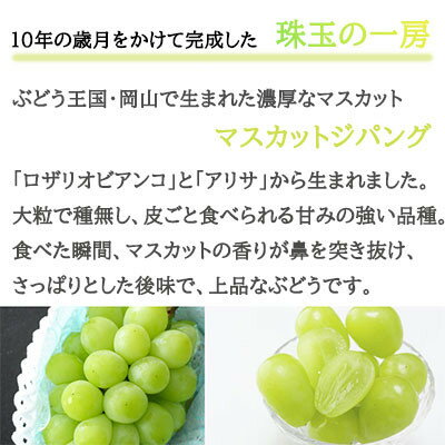 【ふるさと納税】【先行予約】岡山県産　マスカットジパング　800g×1房【配送不可地域：離島・北海道・沖縄県】【1351809】
