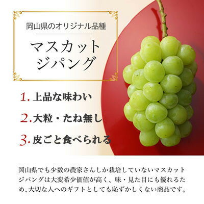 【ふるさと納税】【先行予約】岡山県産　マスカットジパング　800g×1房【配送不可地域：離島・北海道・沖縄県】【1351809】