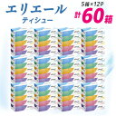 【ふるさと納税】エリエール ティシュー 180組5箱×12パック(60箱)【配送不可地域:離島・北海道・沖縄県】【1352850】