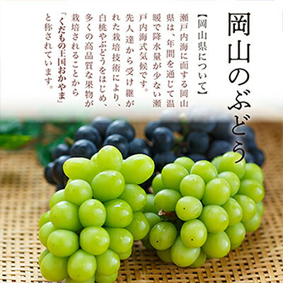 【ふるさと納税】【2025年発送】岡山県産　瀬戸ジャイアンツ2房　(1房480g以上)合計約1kg　化粧箱入り_ ぶどう 葡萄 ブドウ 果物 フルーツ 岡山県 津山市 くだもの 瀬戸ジャイアンツ 人気 おすすめ 送料無料 【配送不可地域：離島・北海道・沖縄県】【1357578】