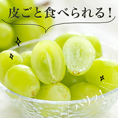 【ふるさと納税】【先行予約】岡山県産　シャインマスカット『晴王』4房(1房480g以上・合計約2kg)　_ シャインマスカット ぶどう 葡萄 ブドウ 種なし 果物 くだもの フルーツ 岡山県 津山市 産直 産地直送 送料無料 【配送不可地域：離島・北海道・沖縄県】【1360475】