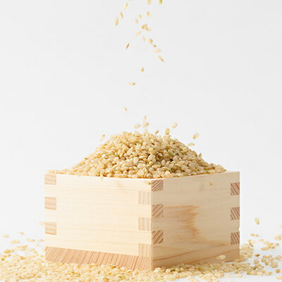 【ふるさと納税】【突鉱土育ち】巨大胚芽米CoCoRo 5kg_ 米 ふるさと納税 5kg 巨大胚芽米 健康米 食物繊維 栄養価 こめ コメ お米 おこめ ご飯 ごはん 胚芽米 玄米 国産 産直 産地直送 岡山県 津山市 送料無料 【1361992】