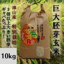 【ふるさと納税】【突鉱土育ち】巨大胚芽米CoCoRo 10kg_ 米 10kg こめ コメ お米 巨大胚芽米 胚芽米 玄米 げんまい 健康米 食物繊維 ビタミン...