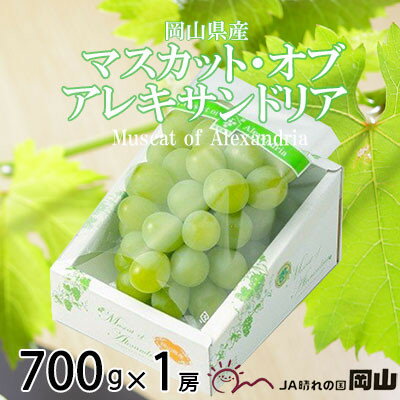 【ふるさと納税】【2025年6月発送】岡山県産 マスカット・オブ・アレキサンドリア 700g×1房【配送不可地域:離島・北海道・沖縄県】【1364674】 【ふるさと納税】【2025年6月発送】岡山県産 マスカット・オブ・アレキサンドリア 700g×1房【配送不可地域:離島・北海道・沖縄県】【1364674】