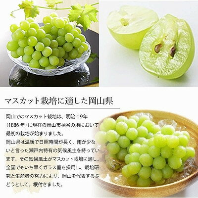 【ふるさと納税】【2025年6月発送】岡山県産　マスカット・オブ・アレキサンドリア　700g×1房【配送不可地域：離島・北海道・沖縄県】【1364674】