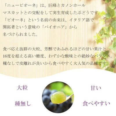 【ふるさと納税】【2025年8月発送】岡山県産　ニューピオーネ　600g×1房【配送不可地域：離島・北海道・沖縄県】【1364677】