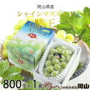 【ふるさと納税】【2025年7月発送】岡山県産 シャインマスカット 晴王 800g×1房【配送不可地域:離島・北海道・沖縄県】【1365930】