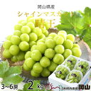 【ふるさと納税】【2025年8月発送】岡山県産 シャインマスカット 晴王 2kg(3房~6房)【配送不可地域:離島・北海道・沖縄県】【1366039】