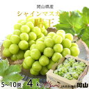 【ふるさと納税】【2025年8月より発送】岡山県産 シャインマスカット 晴王 4kg(5房~10房)_ シャインマスカット ふるさと納税 ぶどう 葡萄 ブドウ マスカット 果物 【配送不可地域:離島・北海道・沖縄県】【1366041】