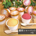 【ふるさと納税】アイス職人が作るこだわりシャーベット 2種6個セット 各90ml入り 卵不使用 乳不使用 小麦不使用【配送不可地域:離島】【1369014】