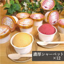 【ふるさと納税】アイス職人が作るこだわりシャーベット 2種12個セット各90ml入り 卵不使用 乳不使用 小麦不使用【配送不可地域:離島】【1369018】