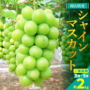 【ふるさと納税】【2025年発送】訳あり!シャインマスカット約2kg!9月上旬〜順次発送【人気の岡山産ぶどう】【配送不可地域:離島】【1378276】