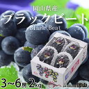【ふるさと納税】【先行予約】岡山県産 ブラックビート 2kg(3房~6房)_ ぶどう ブラックビート 葡萄 ブドウ 黒ぶどう 果物 くだもの フルーツ 大粒 岡山県 津山市 ギフト プレゼント 産直 産地直送 送料無料 【配送不可地域:離島・北海道・沖縄県】【1400519】