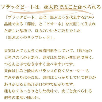 【ふるさと納税】【先行予約】岡山県産　ブラックビート　500g×2房【配送不可地域：離島・北海道・沖縄県】【1400524】