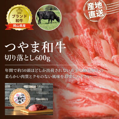 【ふるさと納税】【岡山県産黒毛和牛】つやま和牛切り落とし600g_ 黒毛和牛 和牛 牛肉 和牛切り落とし 家庭料理 岡山産 煮込み料理 お..