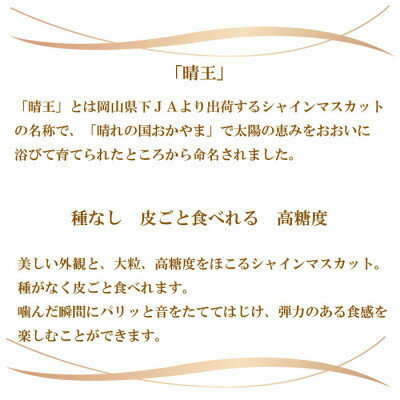 【ふるさと納税】【2025年8月より発送予定】ご家庭用　岡山県産　シャインマスカット　晴王　400g×2房【配送不可地域：離島】【1409723】