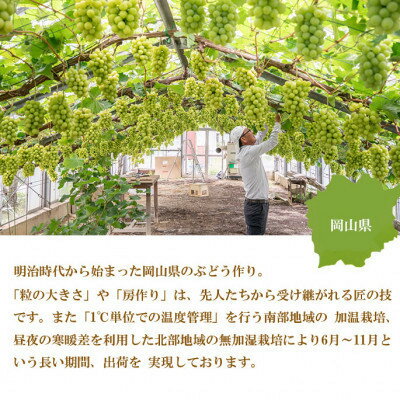 【ふるさと納税】【2025年8月より発送予定】ご家庭用　岡山県産　シャインマスカット　晴王　400g×2房【配送不可地域：離島】【1409723】