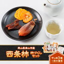 【ふるさと納税】岡山県津山市産「西条柿」柿づくしセット(4種類・7個入り)【1418882】