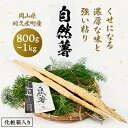 【ふるさと納税】【先行予約9月上旬~順次】土臭さがくせになる濃厚な味と強い粘りの自然薯 800g~1kg化粧箱入り【配送不可地域:離島】【1419012】