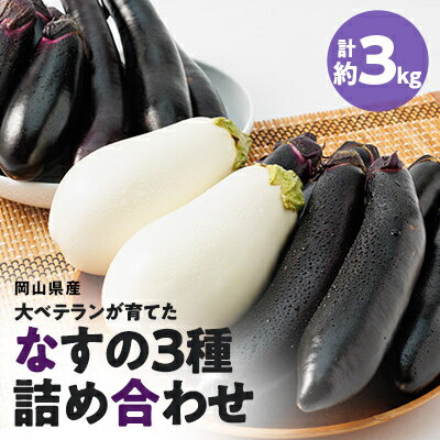 【ふるさと納税】2024年発送　食卓の新しい定番!なす栽培歴50年の大ベテランが育てた”なすの詰め合 ...