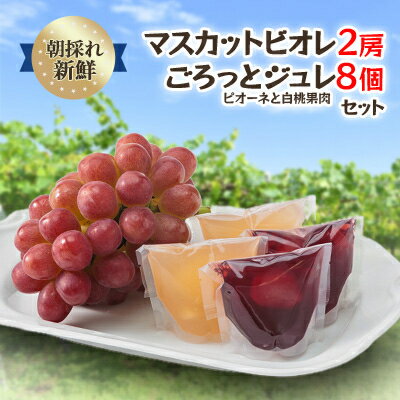 【ふるさと納税】【2025年度発送分】朝採れ新鮮マスカットビオレ2房&ピオーネと白桃果肉ごろっとジュレセット【1435800】