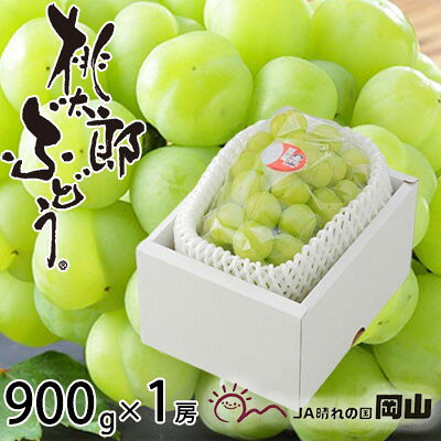 岡山県産 桃太郎ぶどう 900g×1房【配送不可地域：離島・北海道・沖縄県】【1453737】