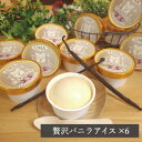 【ふるさと納税】スイーツ専門店の作るこだわりアイスクリーム6個セット バニラアイス 各90ml入り【配送不可地域:離島】【1455004】