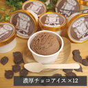 【ふるさと納税】スイーツ専門店の作るこだわりアイスクリーム12個セット チョコアイス 各90ml入り【配送不可地域:離島】【1480515】