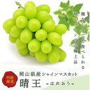 【ふるさと納税】岡山県産 シャインマスカット『晴王』 3~5房 (約2kg)【配送不可地域:離島・北海道・沖縄県】【1499103】