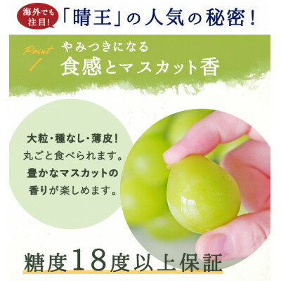 【ふるさと納税】【先行予約】岡山県産 シャインマスカット『晴王』 3～5房 (約2kg)_ シャインマスカット 晴王 ぶどう 葡萄 ブドウ 甘い 種なし 果物 くだもの フルーツ 岡山県 津山市 ギフト プレゼント 産直 産地直送【配送不可地域：離島・北海道・沖縄県】【1499103】