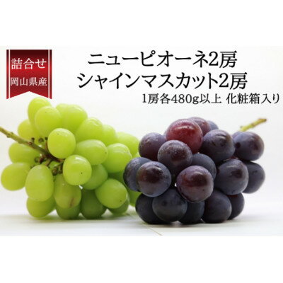 岡山県産詰合/ニューピオーネ2房(1房480g以上)・シャインマスカット晴王2房(1房480g以上)[配送不可地域:離島・北海道・沖縄県]