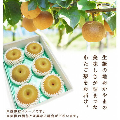 【ふるさと納税】岡山県産 あたご梨 4～7玉(約4kg) 化粧箱入り【配送不可地域：離島・北海道・沖縄県】【1499107】