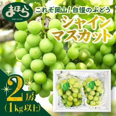 [2025年度発送分]早起き農家の直送便 お土産シャインマスカット2房_ シャインマスカット ふるさと納税 ぶどう 葡萄 ブドウ マスカット 果物 くだもの フルーツ 産直 産地直送 岡山県 津山市 化粧箱[配送不可地域:離島・北海道・沖縄県]