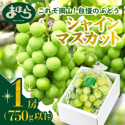 【ふるさと納税】【2025年度発送分】早起き農家の直送便 上出来シャインマスカット1房【1519573】 【ふるさと納税】【2025年度発送分】早起き農家の直送便 上出来シャインマスカット1房【1519573】