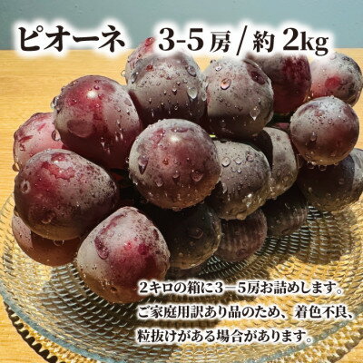 【ふるさと納税】【2026年先行予約】【訳あり】ピオーネ ご家庭用 3-5房入/計2kg～(岡山県産)_ ピオーネ ぶどう 葡萄 ブドウ 果物 くだもの フルーツ 訳あり 黒葡萄 美味しい 岡山県 津山市 国産 産地直送 産直 家庭用 自宅用 送料無料 【配送不可地域：離島】【1535985】