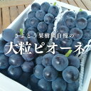 【ふるさと納税】【きよとうファーム】ピオーネ 上級品3-5房入/計2kg~(岡山県産)【配送不可地域:離島】【1535986】