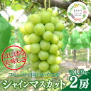 【ふるさと納税】【きよとうファーム】シャインマスカット 大2房入/計1.3kg~(岡山県産)【配送不可地域:離島】【1548991】