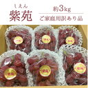 【ふるさと納税】【きよとうファーム】【訳あり】紫苑(しえん) ご家庭用/約3kg(岡山県産)【配送不可地域:離島】【1551268】