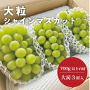 【ふるさと納税】【きよとうファーム】大粒で大房のシャインマスカット 大サイズ3房入 各700g~(岡山県産)【配送不可地域:離島】【1551274】