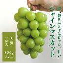 【ふるさと納税】【きよとうファーム】【数量限定】大粒シャインマスカット厳選品1房 /800g以上(岡山県産)【配送不可地域:離島】【1553190】