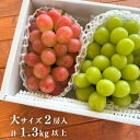 【ふるさと納税】【きよとうファーム】シャインマスカット&生産者いちおし葡萄 大サイズ2房入(岡山県産)【配送不可地域:離島】【1553232】