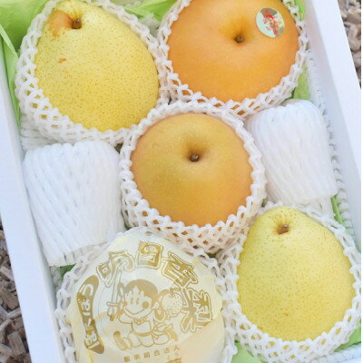 【ふるさと納税】【きよとうファーム】梨好きのための、梨2-3種 食べ比べ 上級品 5-7玉(岡山県産)【1559796】